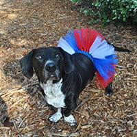 July 4th Doggie Tutu DIY