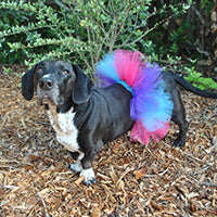 Troll Doggie Tutu DIY