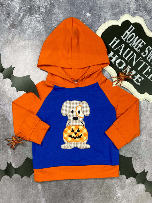 Trick or Treat Boys Hoodie. 